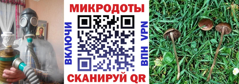Галлюциногенные грибы мухоморы  Чулым 